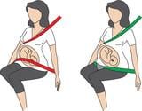 BeSafe_pregnancy_seat_belt