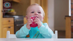 Cognikids Sip Natural Drinking Cup - Feeding Accessory