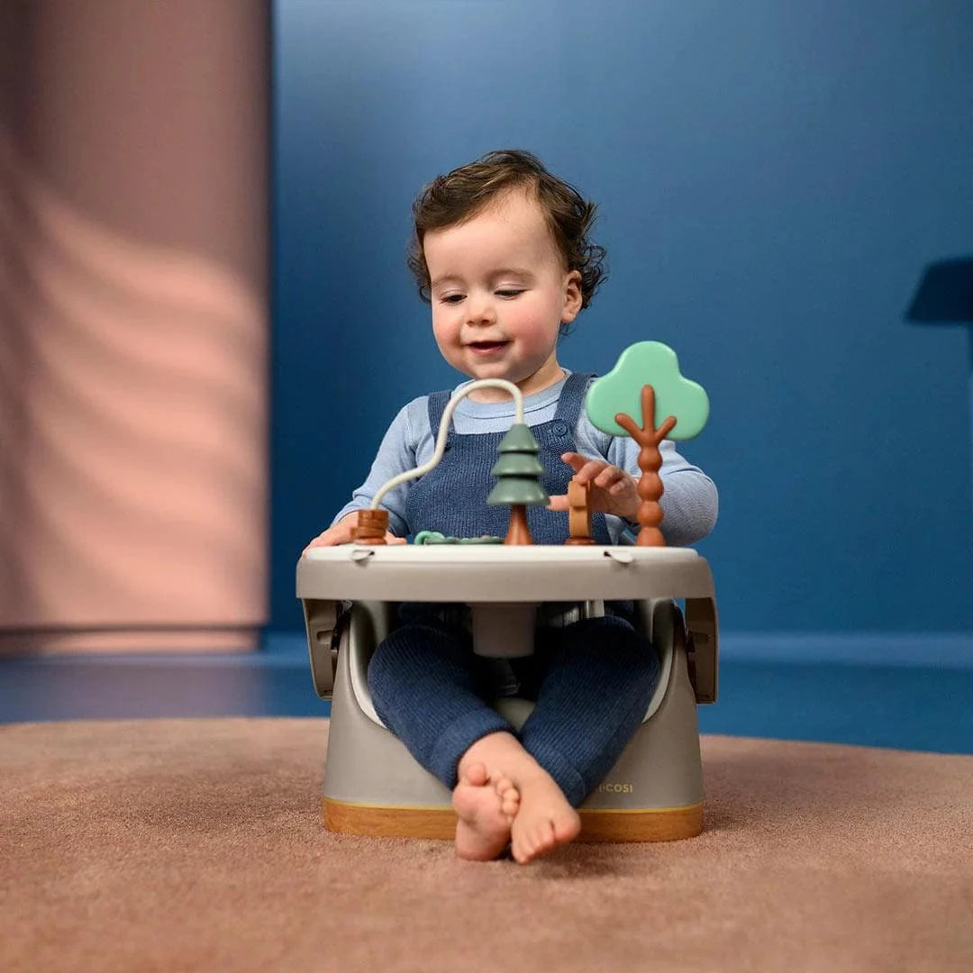 Bababoom Boutique Maxi Cosi Jay Plus