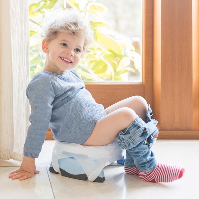 Cheeky Rascals Potty Cheeky Rascals 2 in 1 Potette Plus