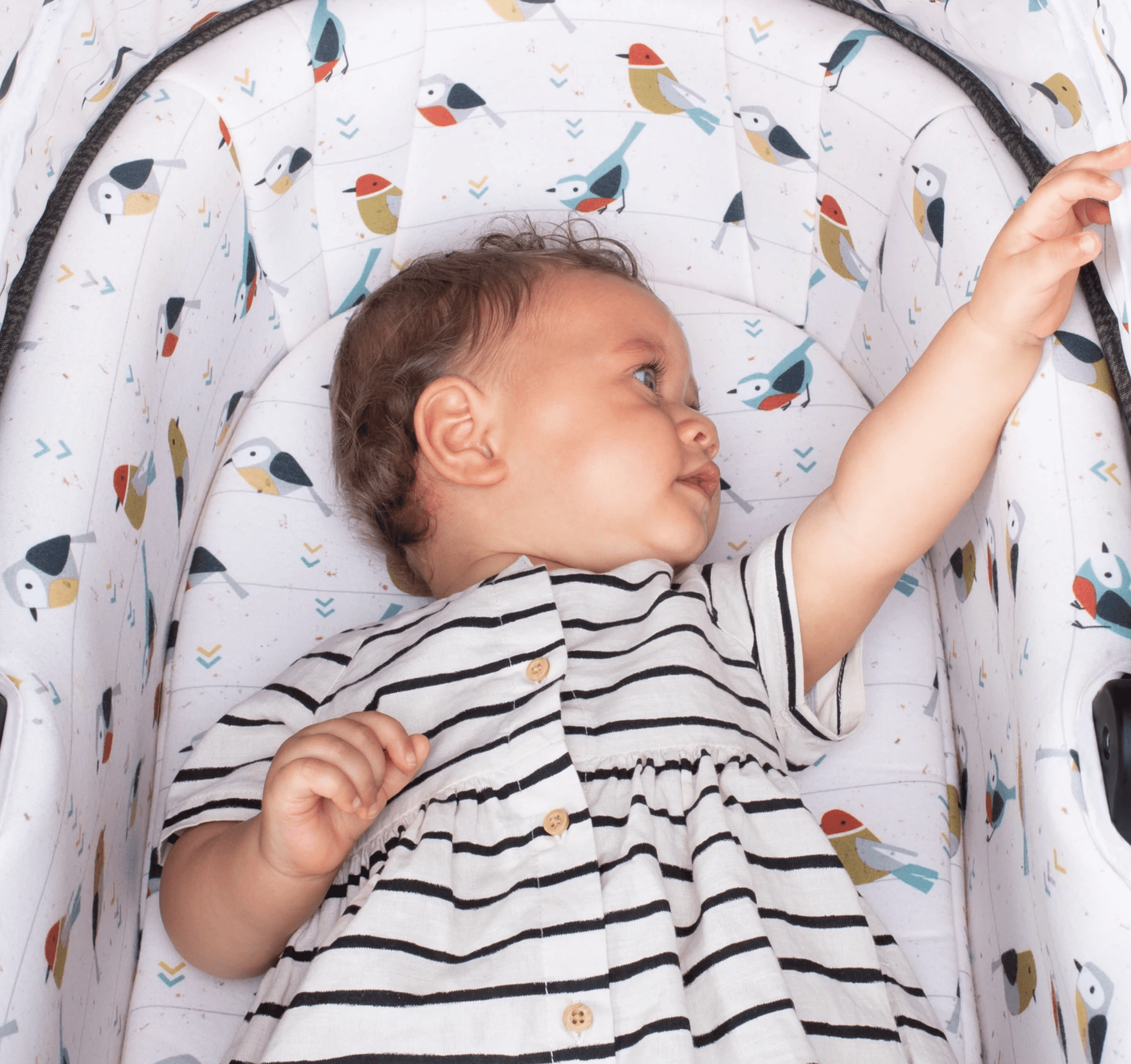 Cosatto Prams Cosatto Wow Continental Pram and Pushchair Bundle - Direct Delivery