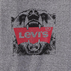 Levi’s Grey Long Sleeved T-Shirt - T-shirt
